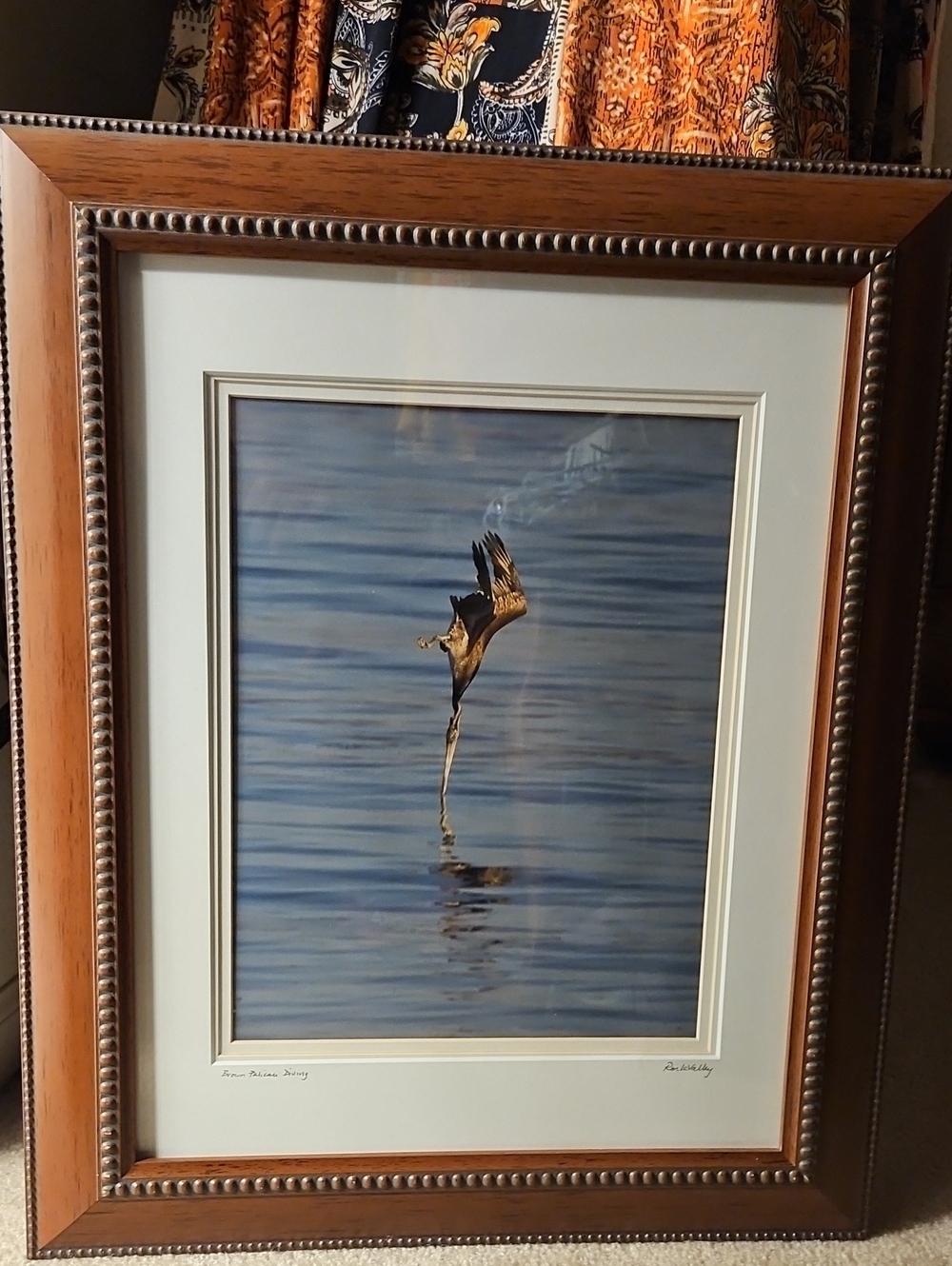 Art Collector - "Brown Pelican Diving" by Ron LaValley - In Frame